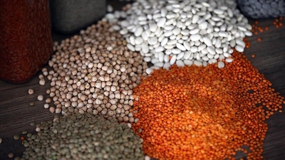 Bitkisel üretim tarla ürünlerinde azaldı, meyve ve sebze grubunda arttı