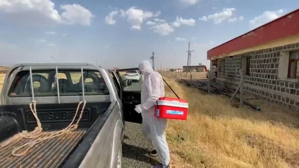 Adıyaman'a bir köye kuduz karantinası