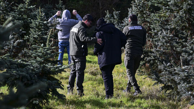 İstanbul'da "yılbaşı ağacı" nöbeti