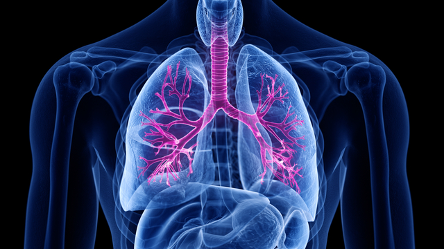 KOAH hastalarına uyarı! Bu gıdaları yiyorsanız hemen bırakın...