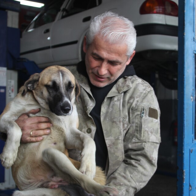 Sakat kalan köpeğini yürüteçle hayata bağladı