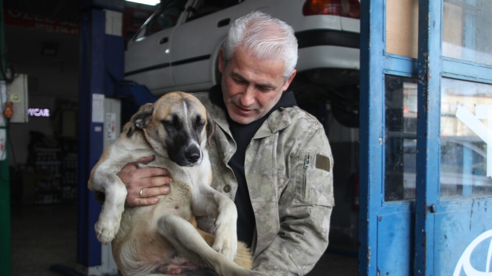 Sakat kalan köpeğini yürüteçle hayata bağladı