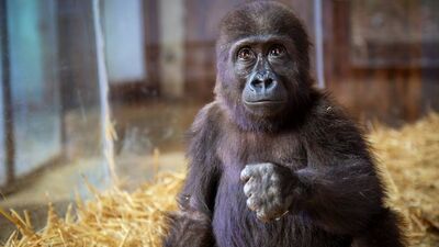 'Merak etmeyin ben iyiyim'