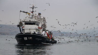 Marmara Denizi için korkutan uyarı