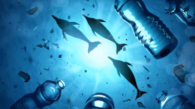 496 balık türünün yüzde 65'inde o var