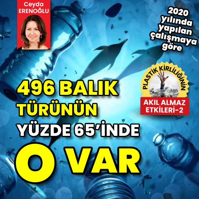496 balık türünün yüzde 65'inde o var