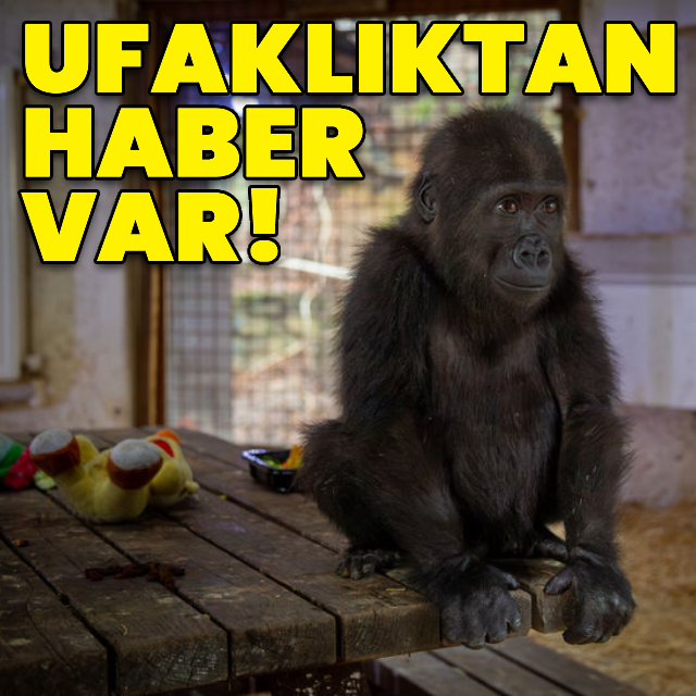 'Ufaklıktan haber var'
