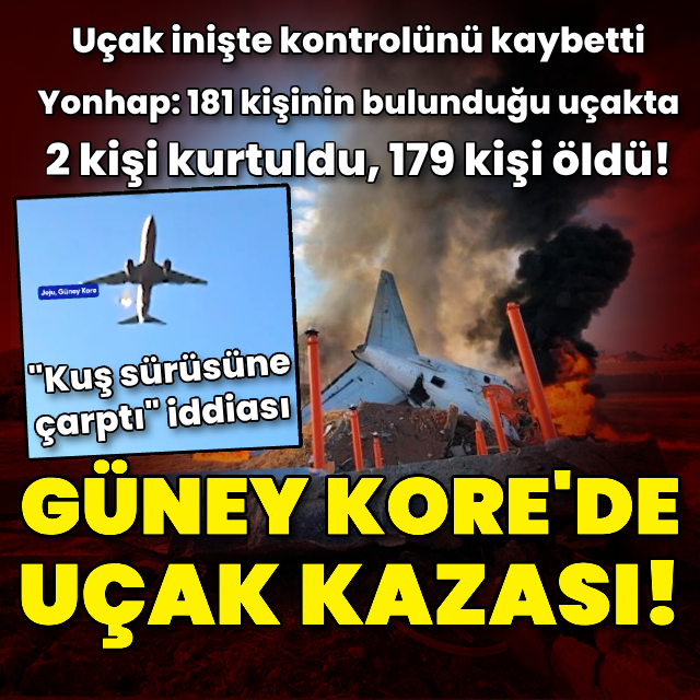 Güney Kore'de uçak kazası: Çok sayıda kişi öldü!