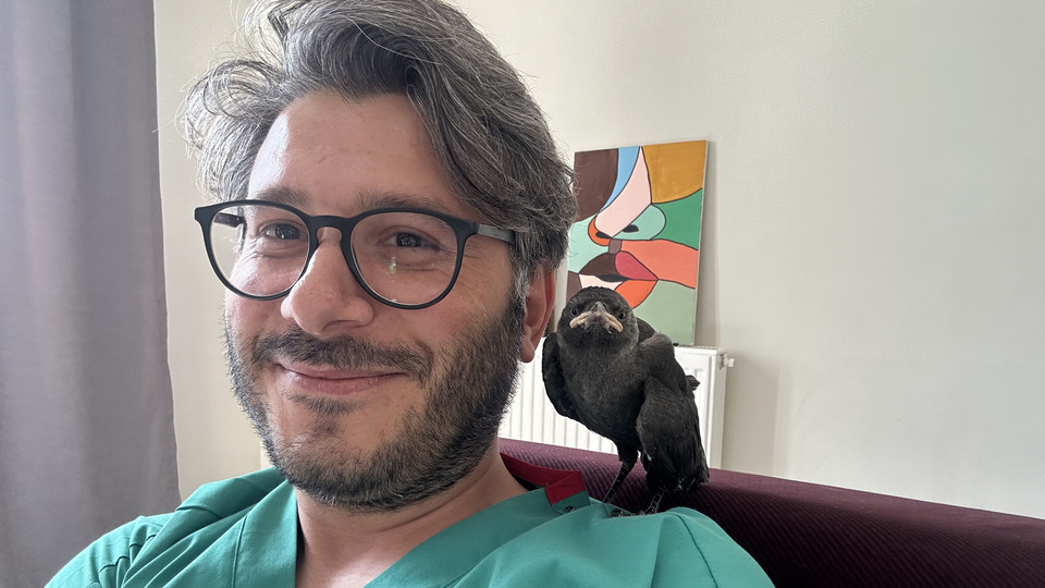 Doktorun, karga Jackoo ile dostluğu şaşırttı