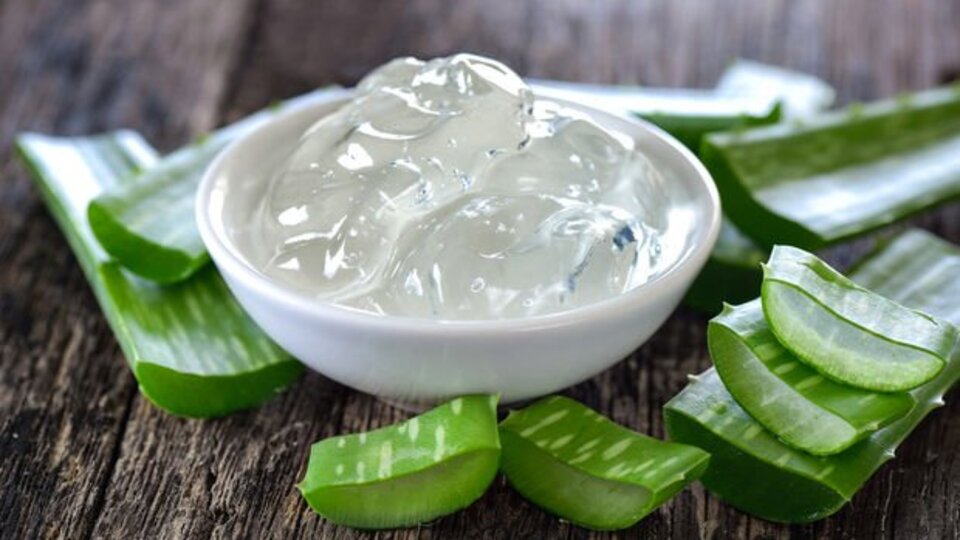 Aloe vera nasıl yenir, tüketilir?