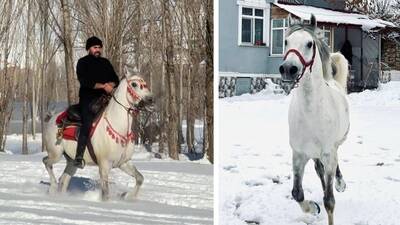 Viral oldu! İsmiyle çağırınca sahibine koşuyor