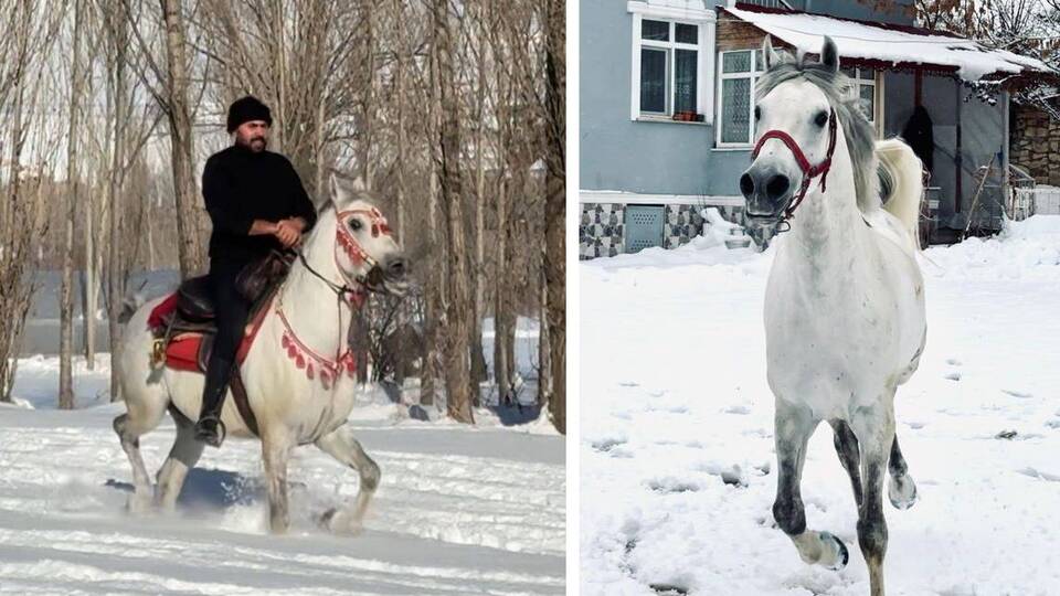 Viral oldu! İsmiyle çağırınca sahibine koşuyor