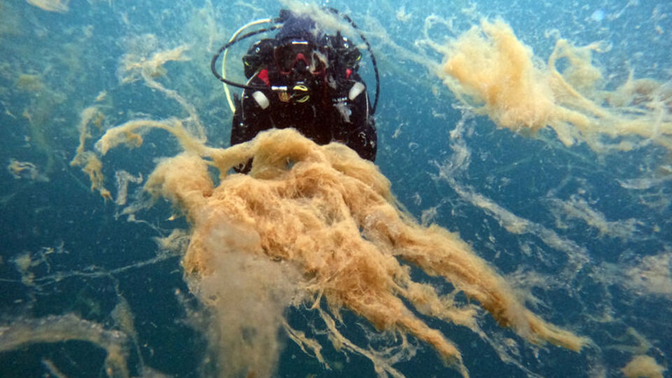 Müsilaj sualtı kamerasıyla görüntülendi