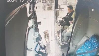 Yağmurda ıslanan köpek otobüse bindi