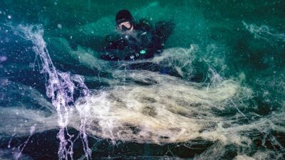 Müsilaja karşı işbirliği şart