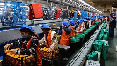 İmalatta yavaşlama 8 ayın en düşük oranında