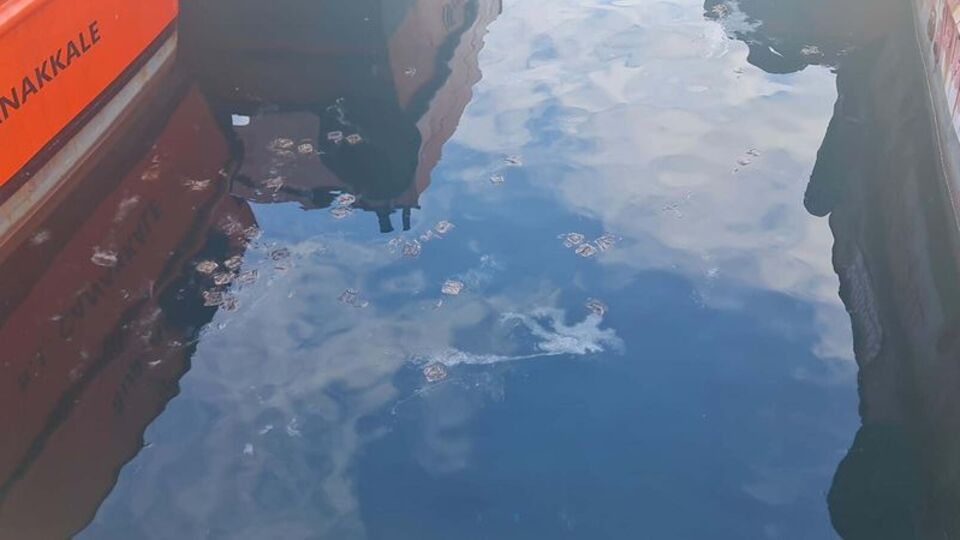 Balıkçılar müsilajdan dertli