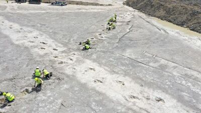 166 milyon yıllık dinozor ayak izleri...