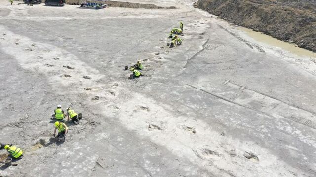 166 milyon yıllık dinozor ayak izleri...