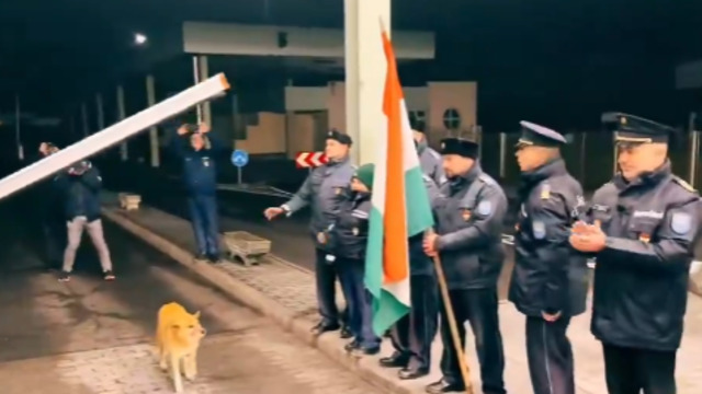 Sınırdan ilk geçen köpeğe alkış