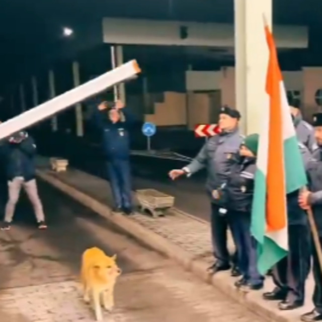 Sınırdan ilk geçen köpeğe alkış