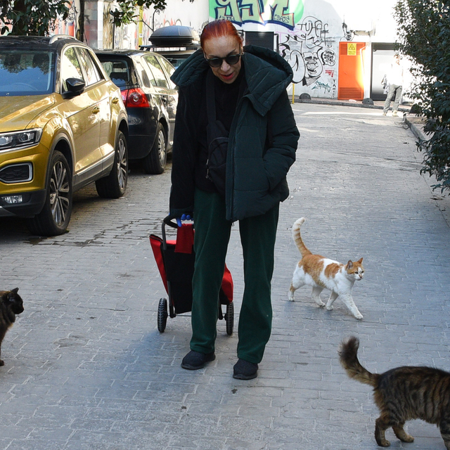 "Beni deli sanacaklar"