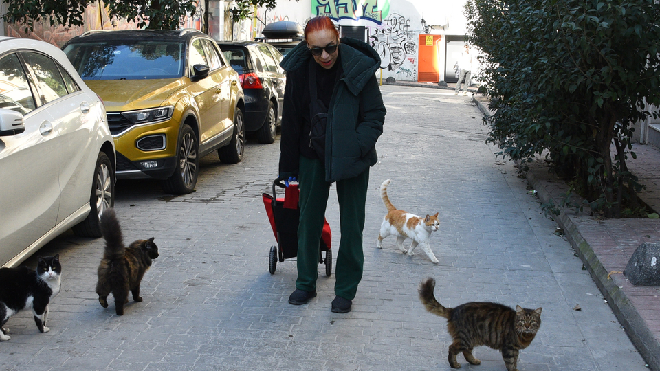 "Beni deli sanacaklar"