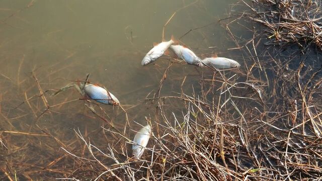 Eyüpsultan'da endişelendiren görüntü