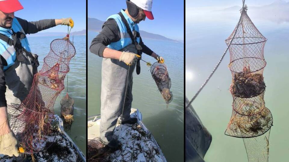 Eğirdir'de kaçak kerevit pinteri bulundu