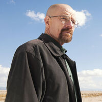 Breaking Bad dizisindeki Walter White'ın evi satışta!