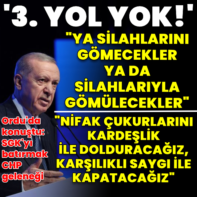 Cumhurbaşkanı Erdoğan: Ya silahlarını gömecekler yada silahlarıyla birlikte toprağa gömülecekler