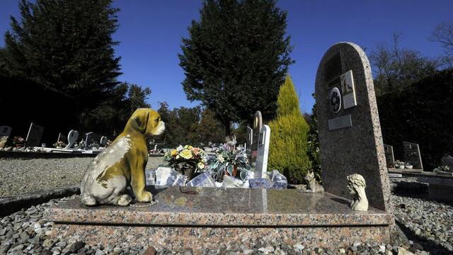 Milano'da evcil hayvanlar sahiplerinin mezarına gömülebilecek