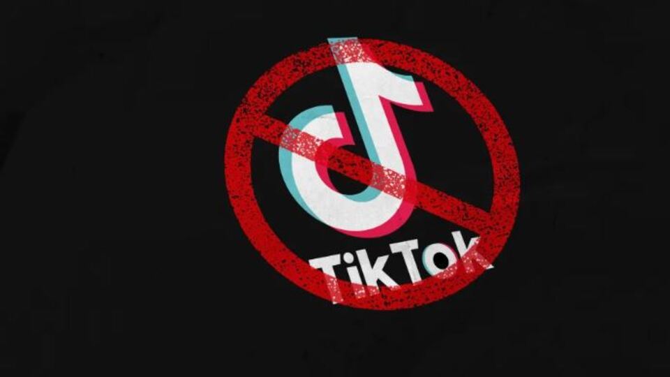 TikTok hakkında bilinçli istismar iddiası!