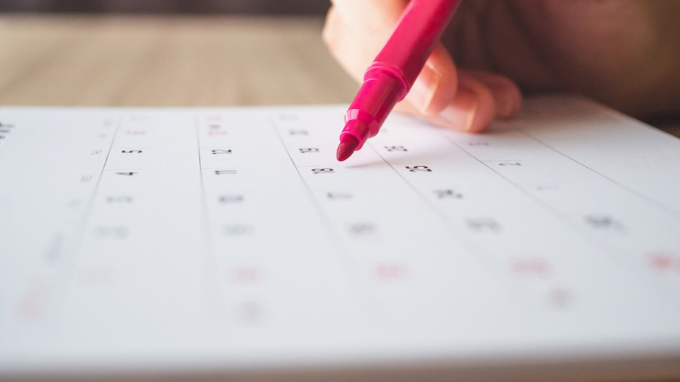 Kredi derecelendirme kuruluşlarının takvimi belli oldu