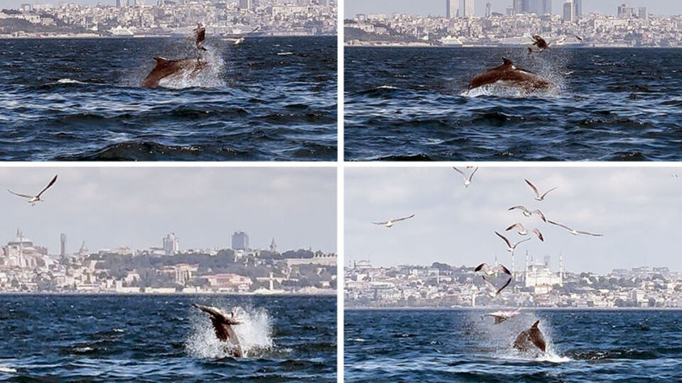 Bilimsel makaleye konu oldu