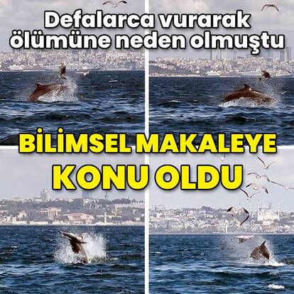 Bilimsel makaleye konu oldu