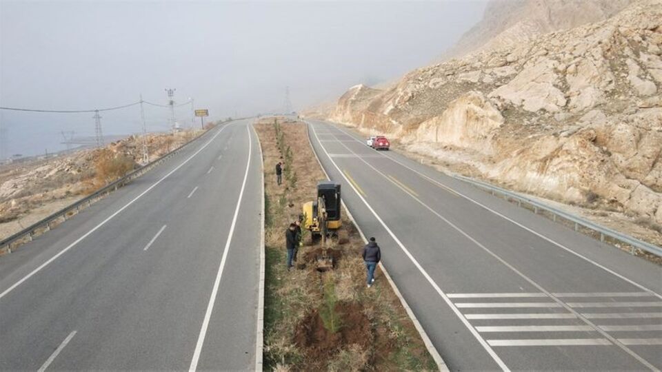 Batman'da 3 bin 620 adet çam fidanı dikildi