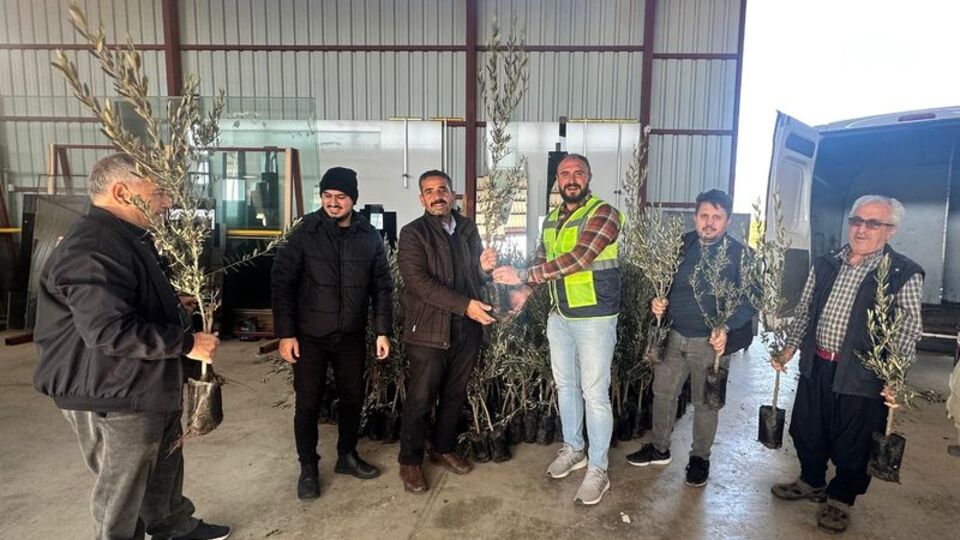 Alanya'da zeytin ve fıstık fidanı dağıtıldı