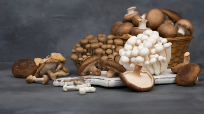 Hangi mantarlar zehirli?