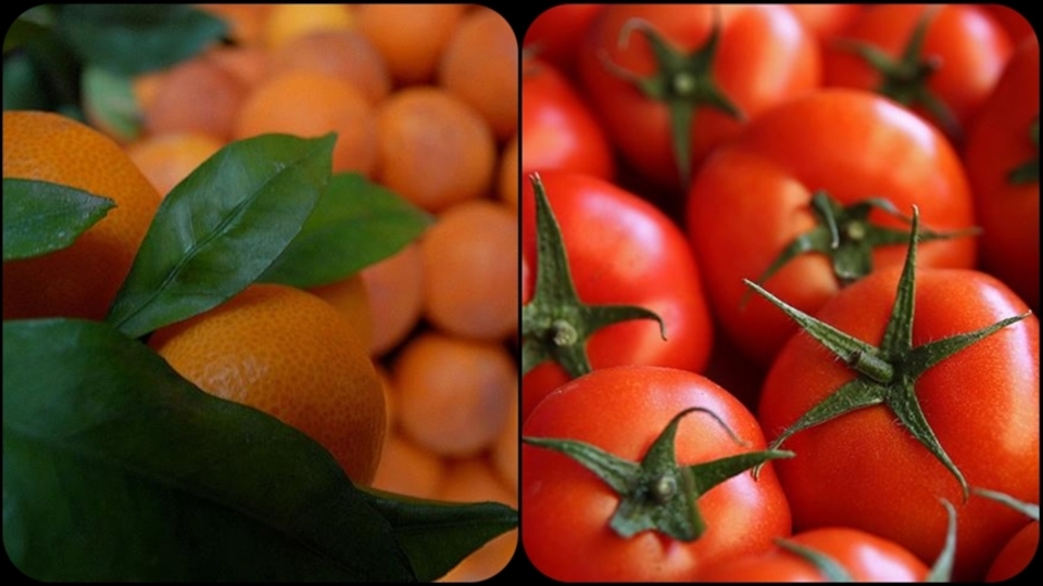 İstanbullular en çok portakal ve domates tüketti