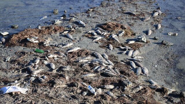 Sivas'ta endişelendiren görüntü