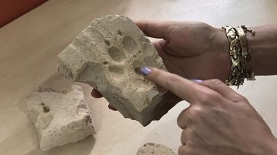 Herakleia Antik Kenti'nde pati izleri