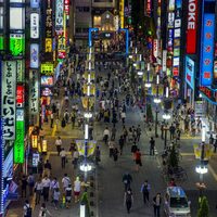 Japonya'nın soyunun tükeneceği yıl hesaplandı