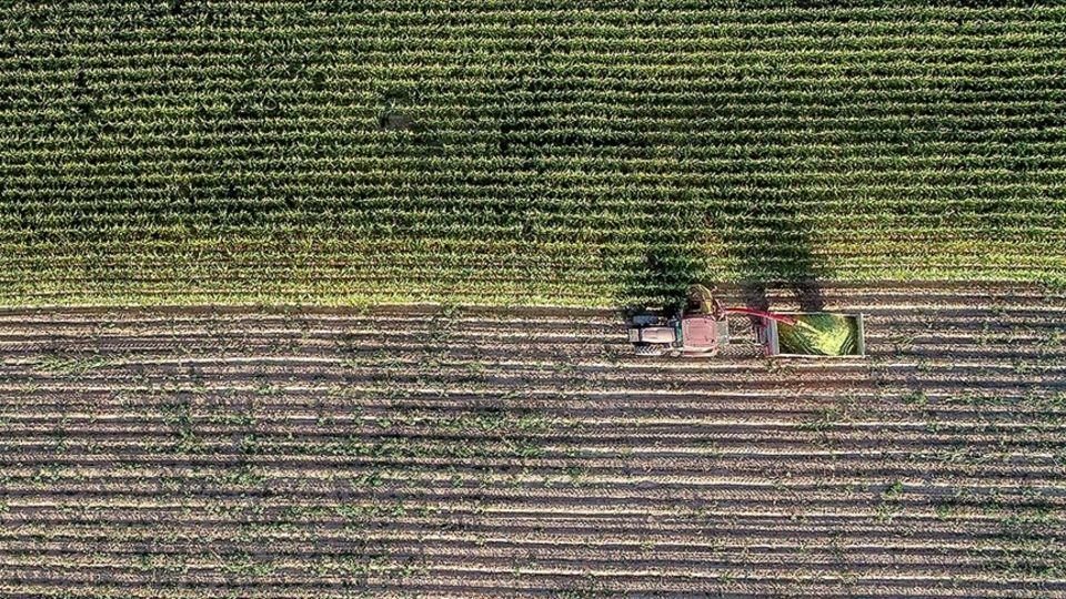 Tarım sigortasında yeni indirim ve destekler