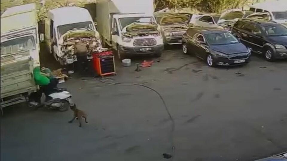 Köpekten kaçarken kaza yaptılar!