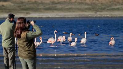 Göç etmeyince koruma altına alındılar
