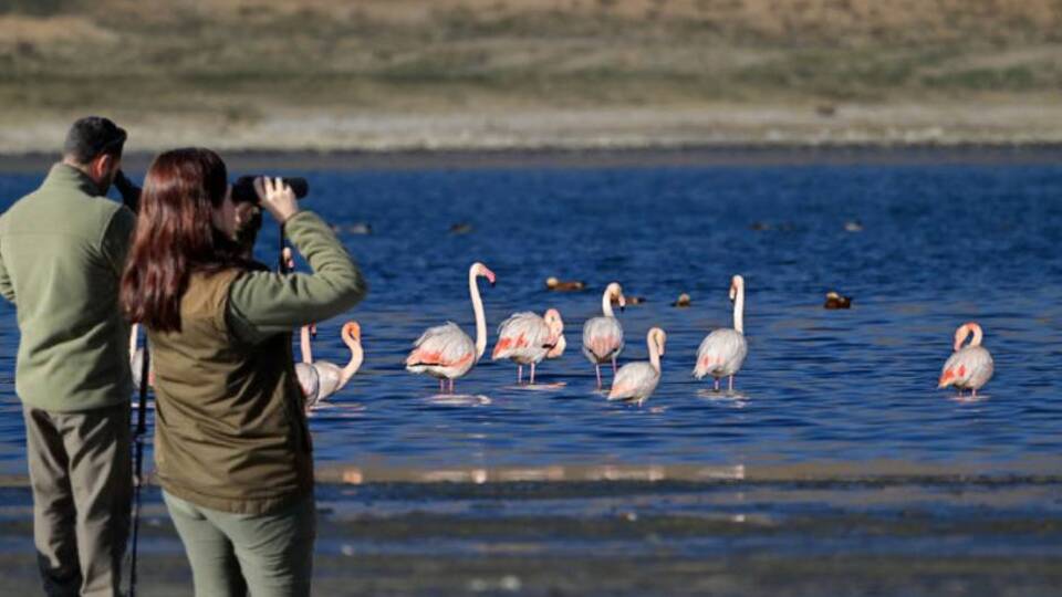 Göç etmeyince koruma altına alındılar