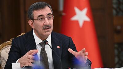 "Doğurganlığı artırmak için ulusal eylem planı hazırlanacak"