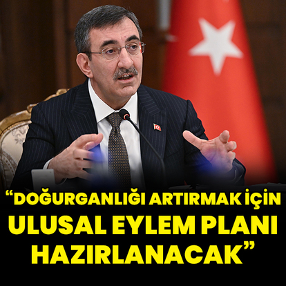  "Doğurganlığı artırmak için ulusal eylem planı hazırlanacak"