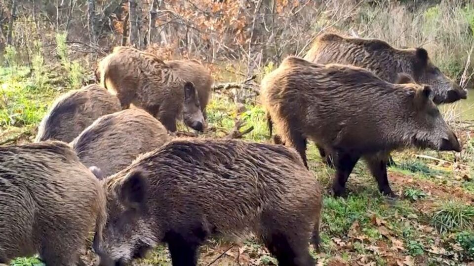 DKMP'den gülümseten paylaşım